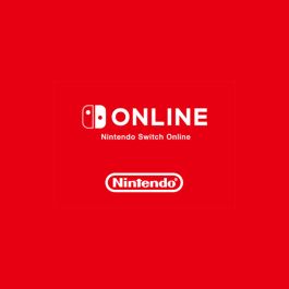 Nintendo 12 Months EU