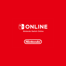 Nintendo 12 Months US